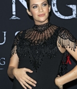 Filename=028.jpg
Filesize=376KiB
Dimensions=1470x2210
Date added=Jan 17, 2020 028.jpg