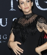 Filename=042.jpg
Filesize=948KiB
Dimensions=2000x3000
Date added=Jan 17, 2020 042.jpg