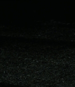 Filename=Hush_1176.jpg
Filesize=97KiB
Dimensions=1920x800
Date added=Jan 18, 2020 Hush_1176.jpg