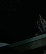 Filename=Hush_1225.jpg
Filesize=51KiB
Dimensions=1920x800
Date added=Jan 18, 2020 Hush_1225.jpg