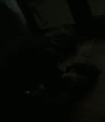 Filename=Hush_1722.jpg
Filesize=38KiB
Dimensions=1920x800
Date added=Jan 18, 2020 Hush_1722.jpg