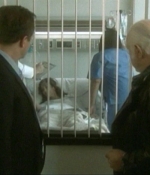 Filename=CurseofBlackDahlia_0583.jpg
Filesize=45KiB
Dimensions=720x408
Date added=Sep 03, 2021 CurseofBlackDahlia_0583.jpg