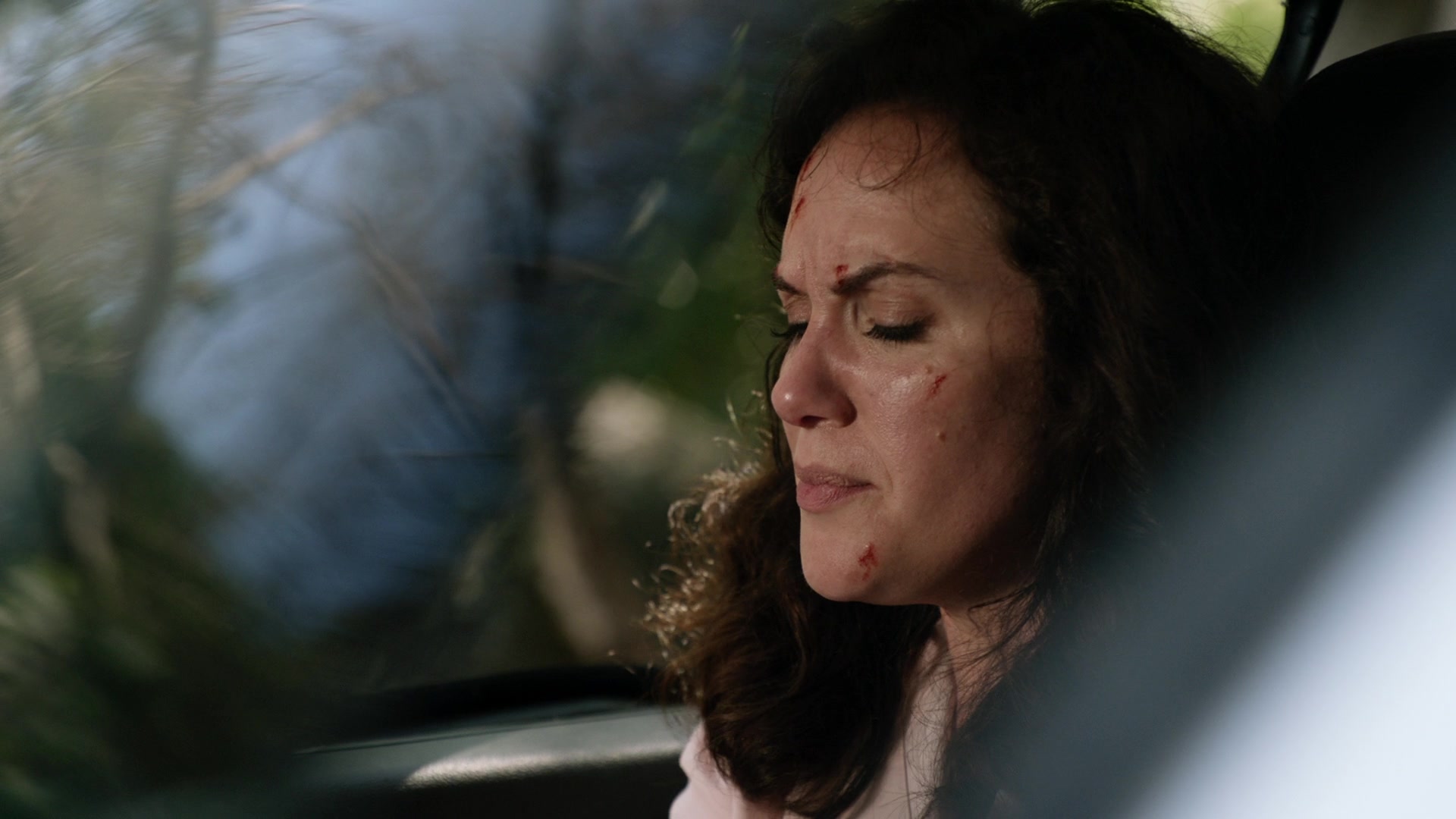 H5010x14_0133.jpg H5010x14_0133.jpg