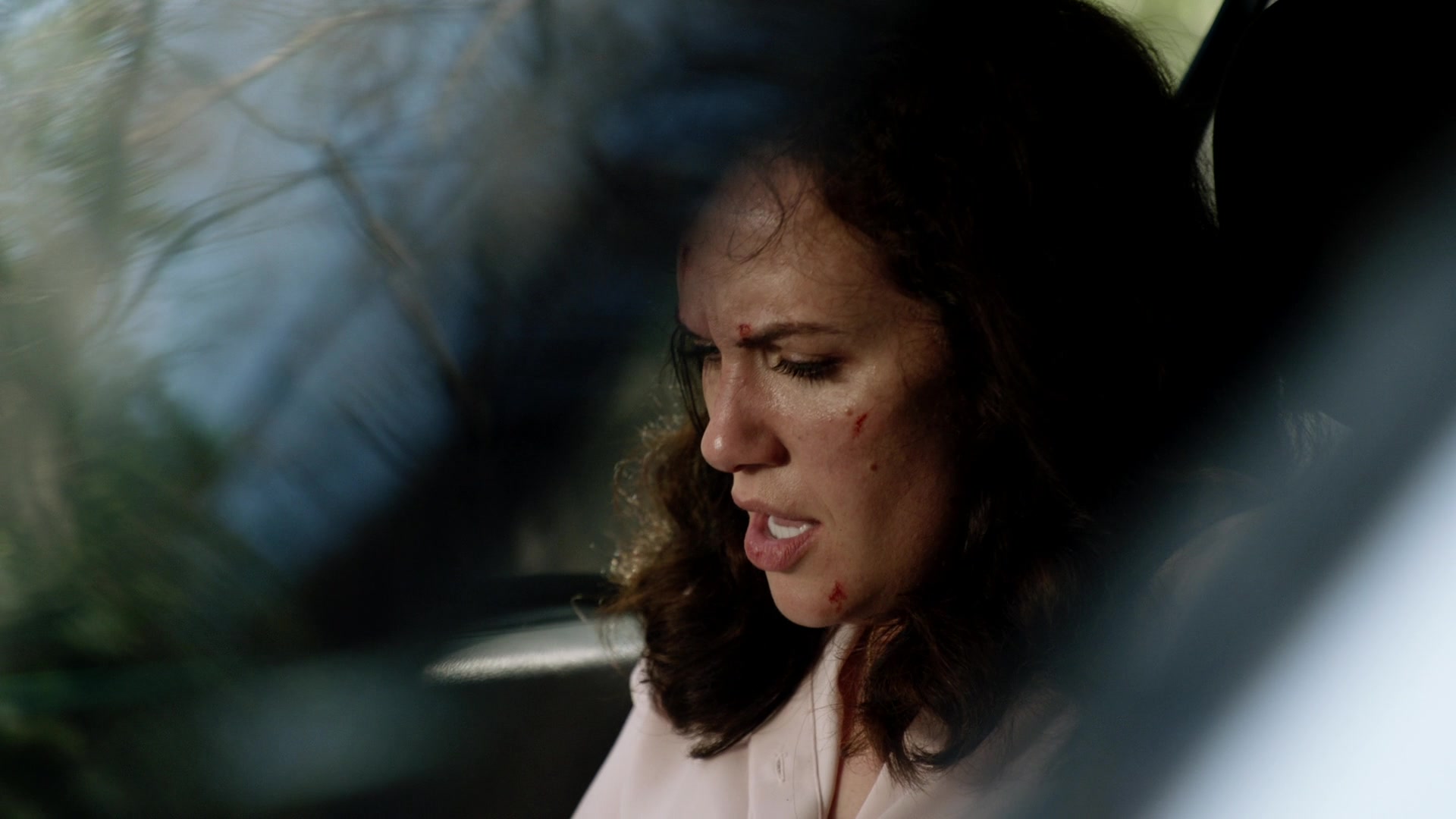 H5010x14_0141.jpg H5010x14_0141.jpg