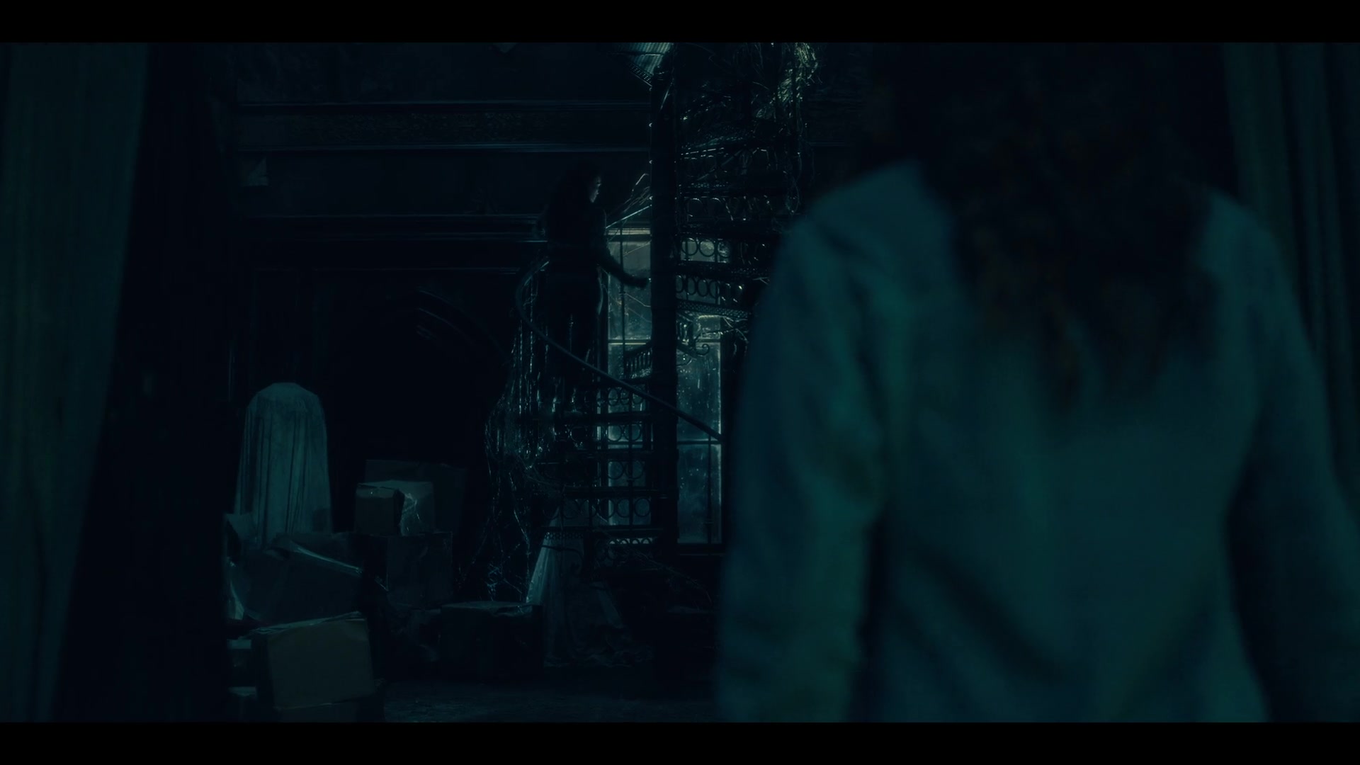 THOHH1x10_0008.jpg THOHH1x10_0008.jpg