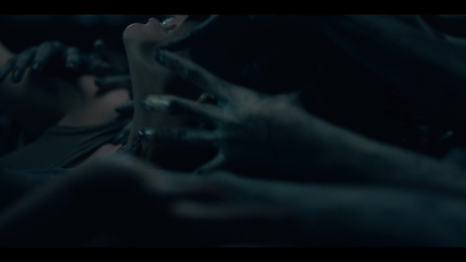 THOHH1x10_0103.jpg THOHH1x10_0103.jpg