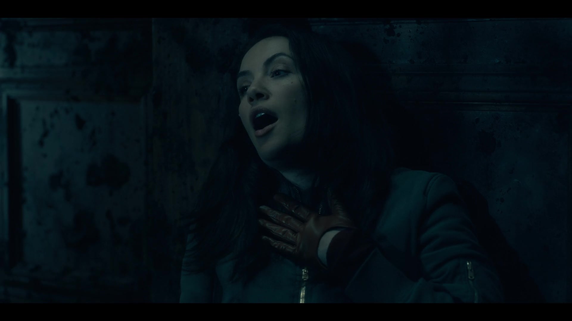 THOHH1x10_0104.jpg THOHH1x10_0104.jpg