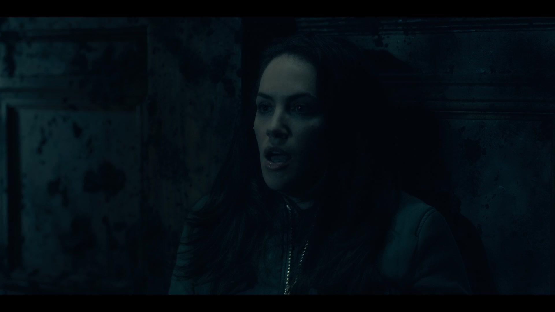 THOHH1x10_0106.jpg THOHH1x10_0106.jpg